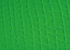 Nastro Skin Verde